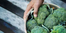 Thumbnail for article: 8 x groenten met veel eiwitten