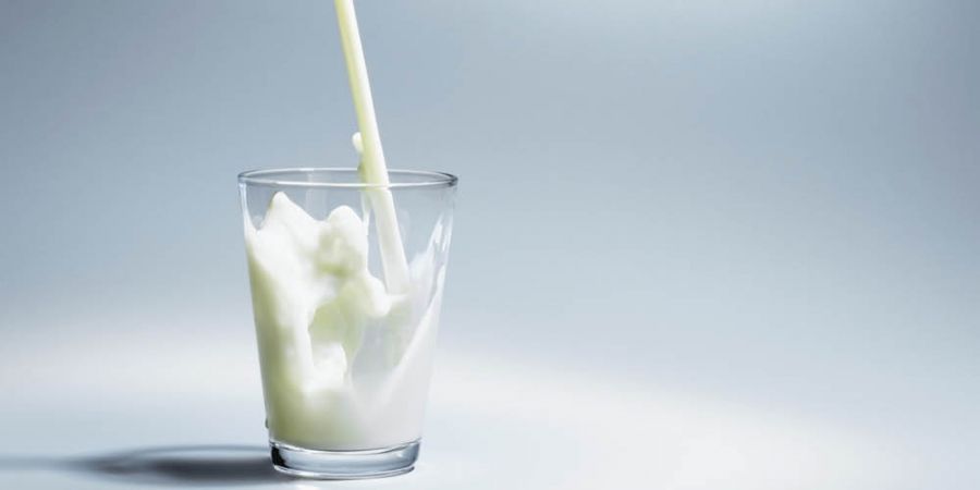 melk.jpg