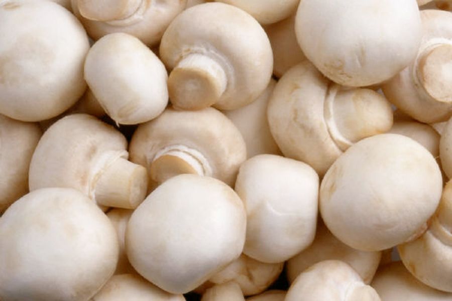 Gezonde-vleesvervanger-champignons.jpg