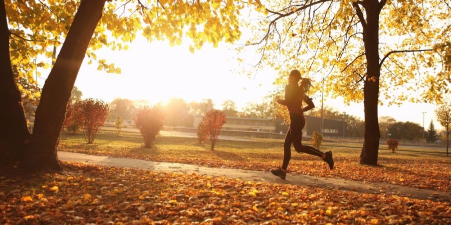 5-tips-om-je-energie-te-behouden-in-de-herfst_img900.jpg