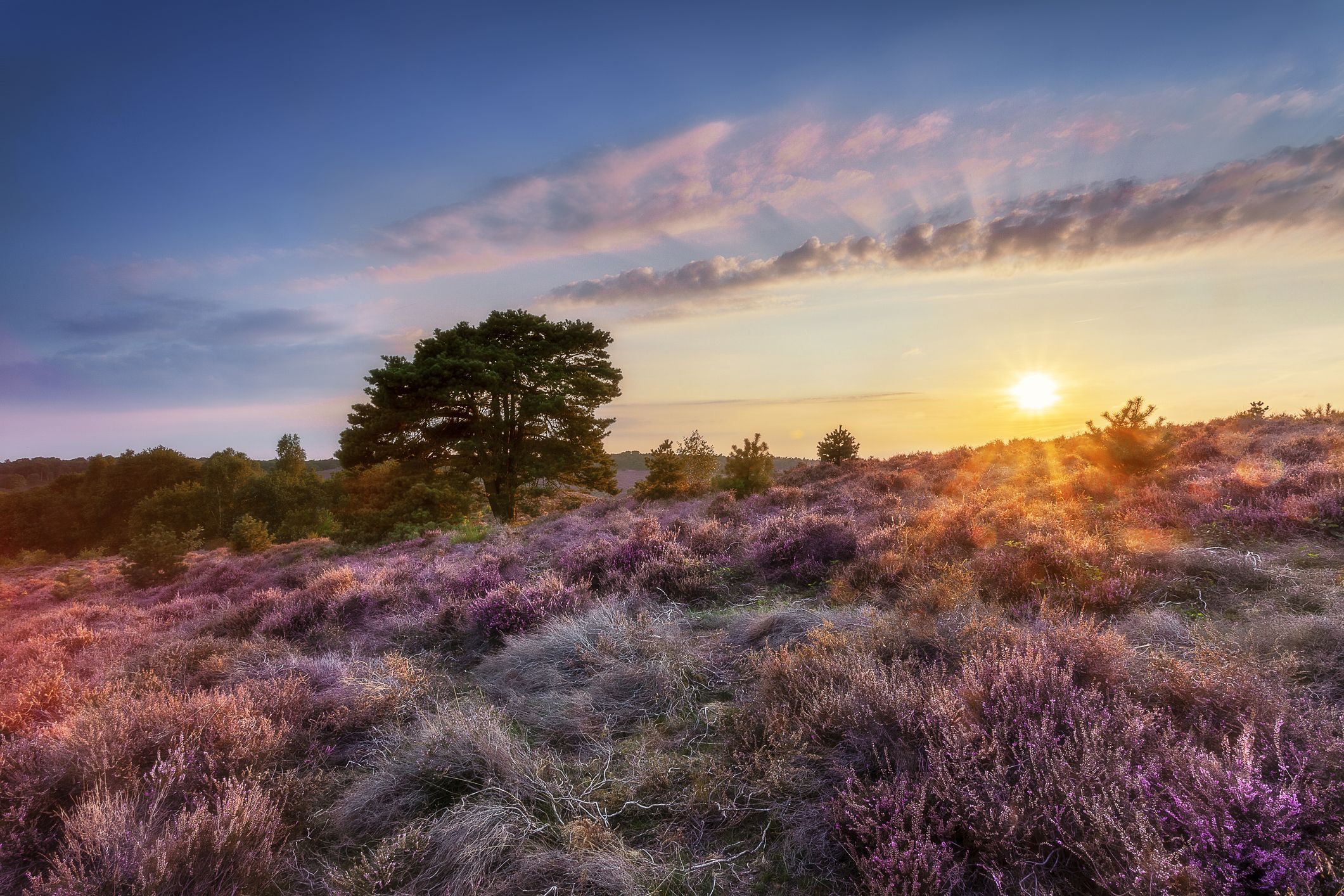 gettyimages-1175783298