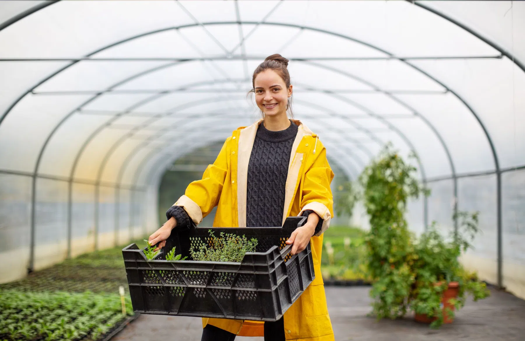 microgroenten-gezonder-dan-normale-groenten.jpg