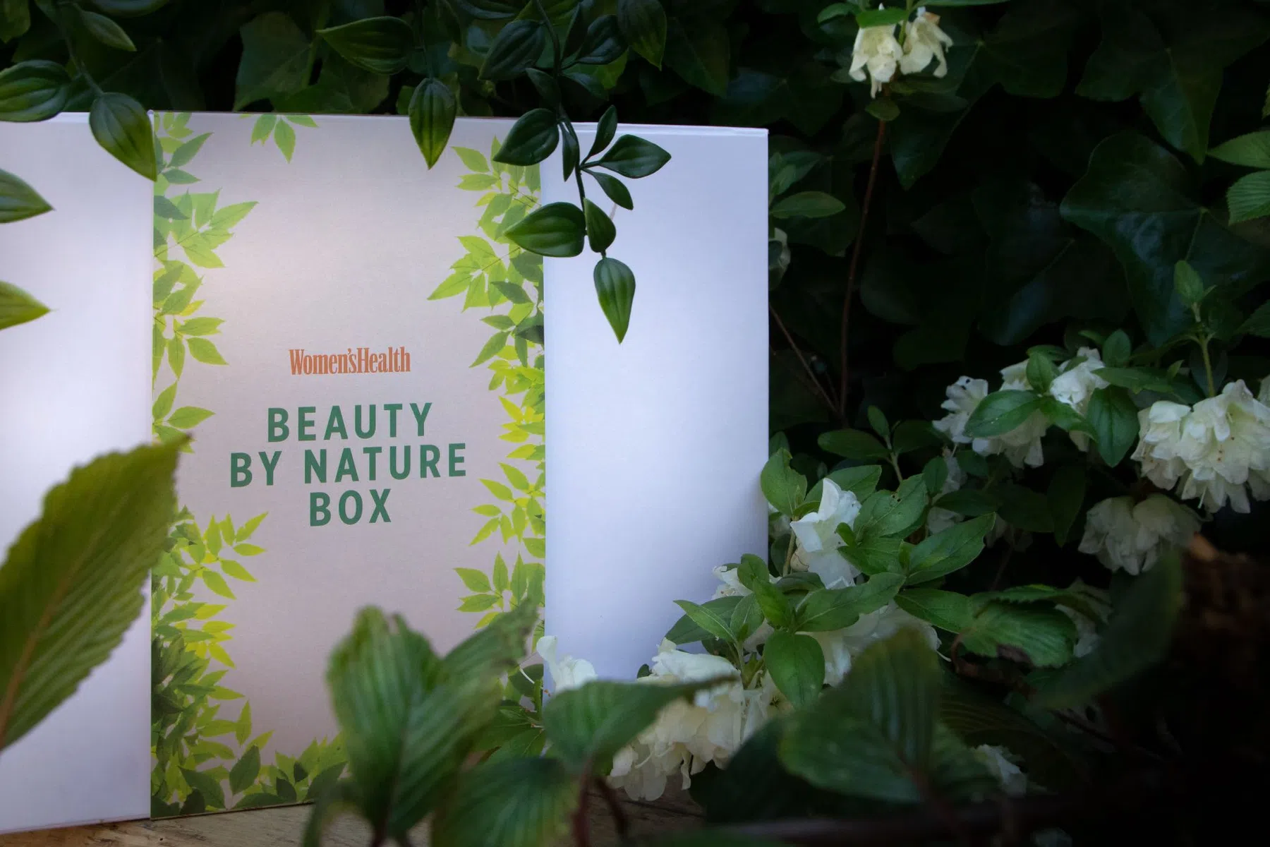 Beautybox.jpg
