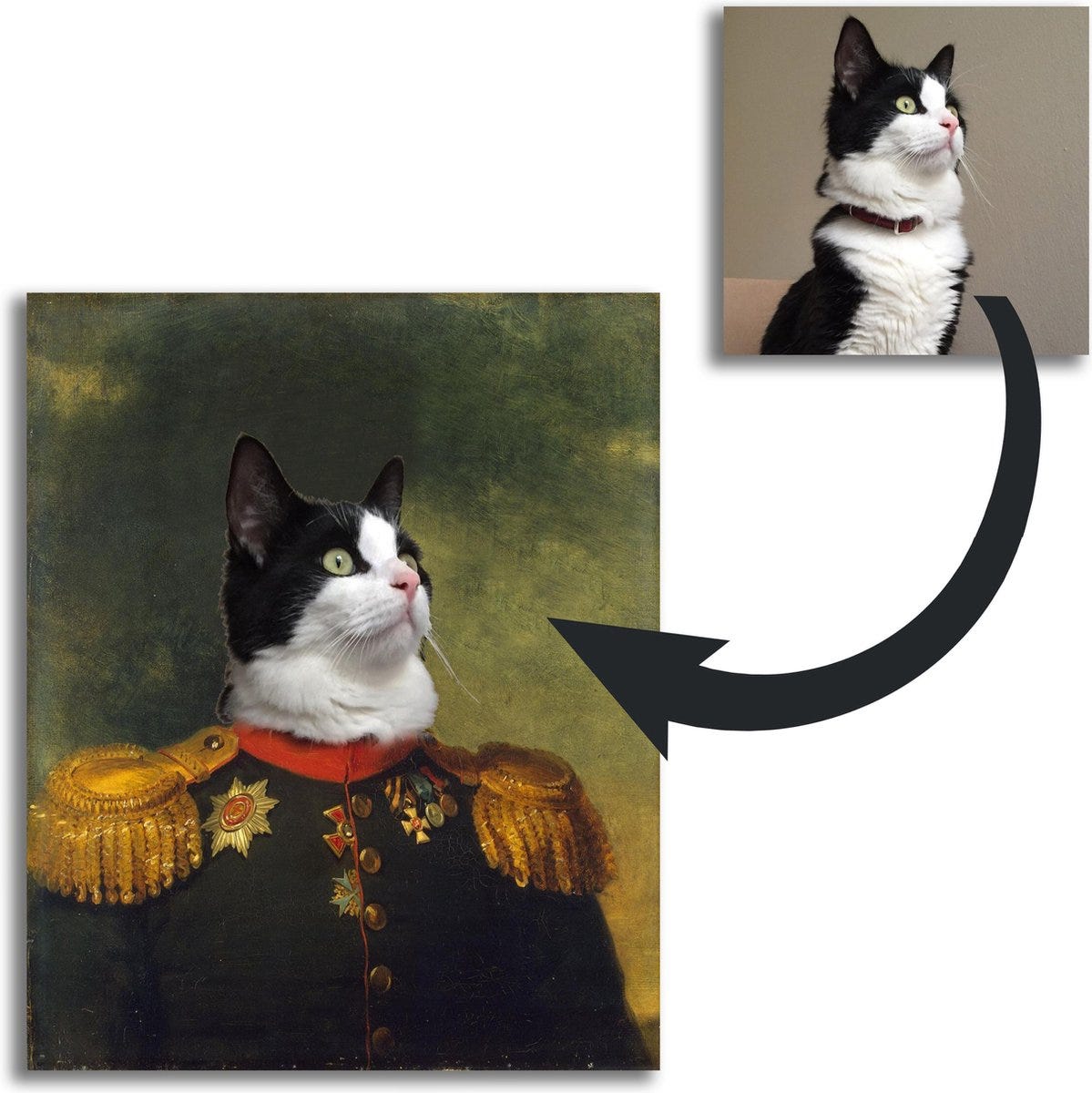 6x de leukste cadeautjes voor de kattenliefhebbers in je leven