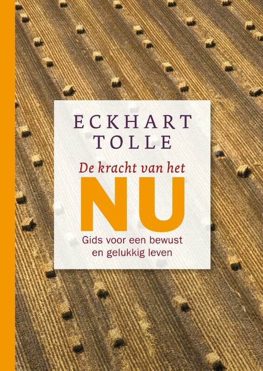 Ondersteunend beeld bij het artikel