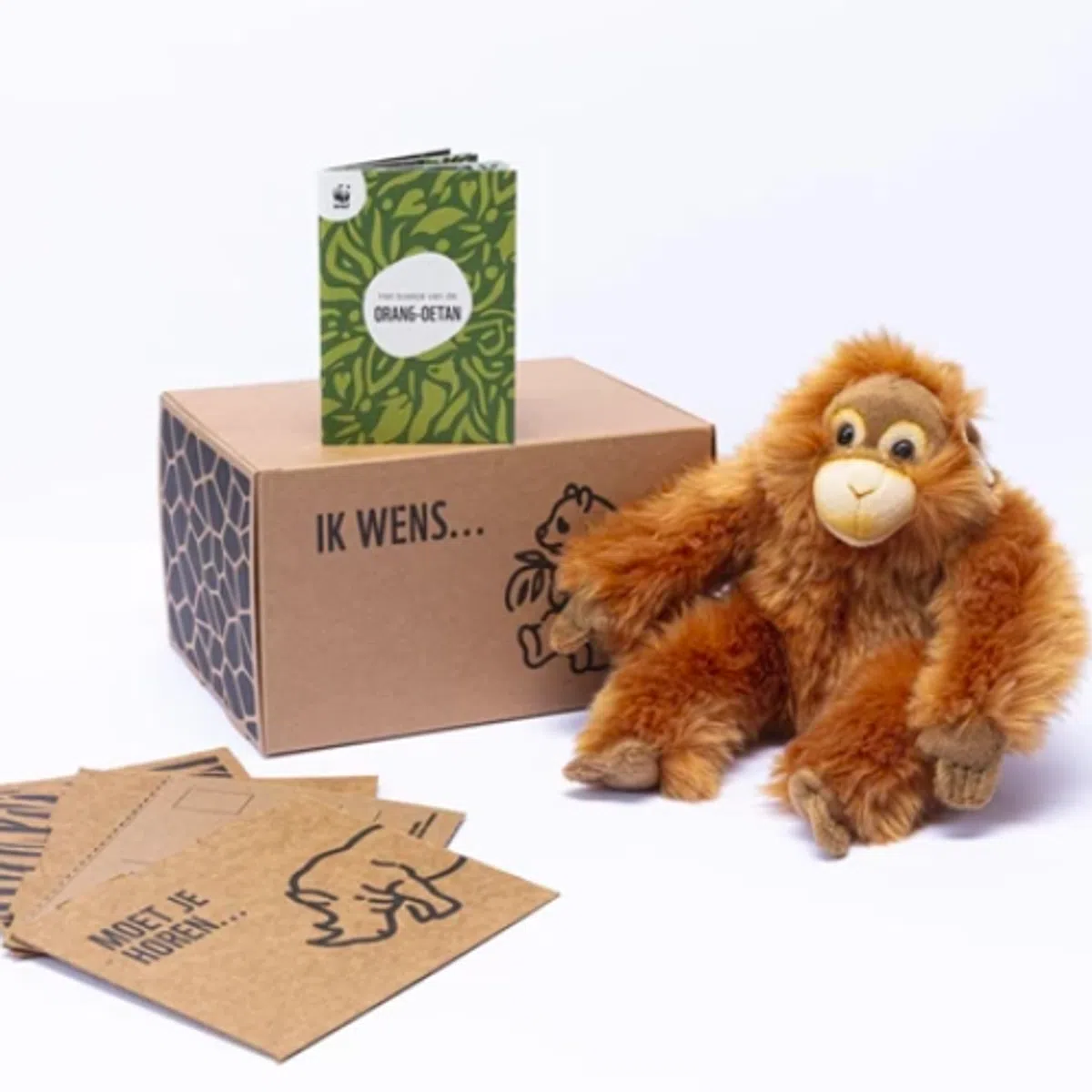 Ondersteunend beeld bij het artikel