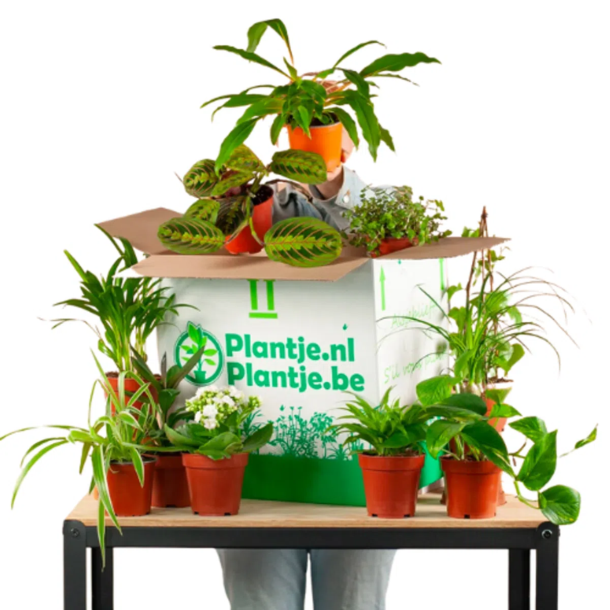 Ondersteunend beeld bij het artikel