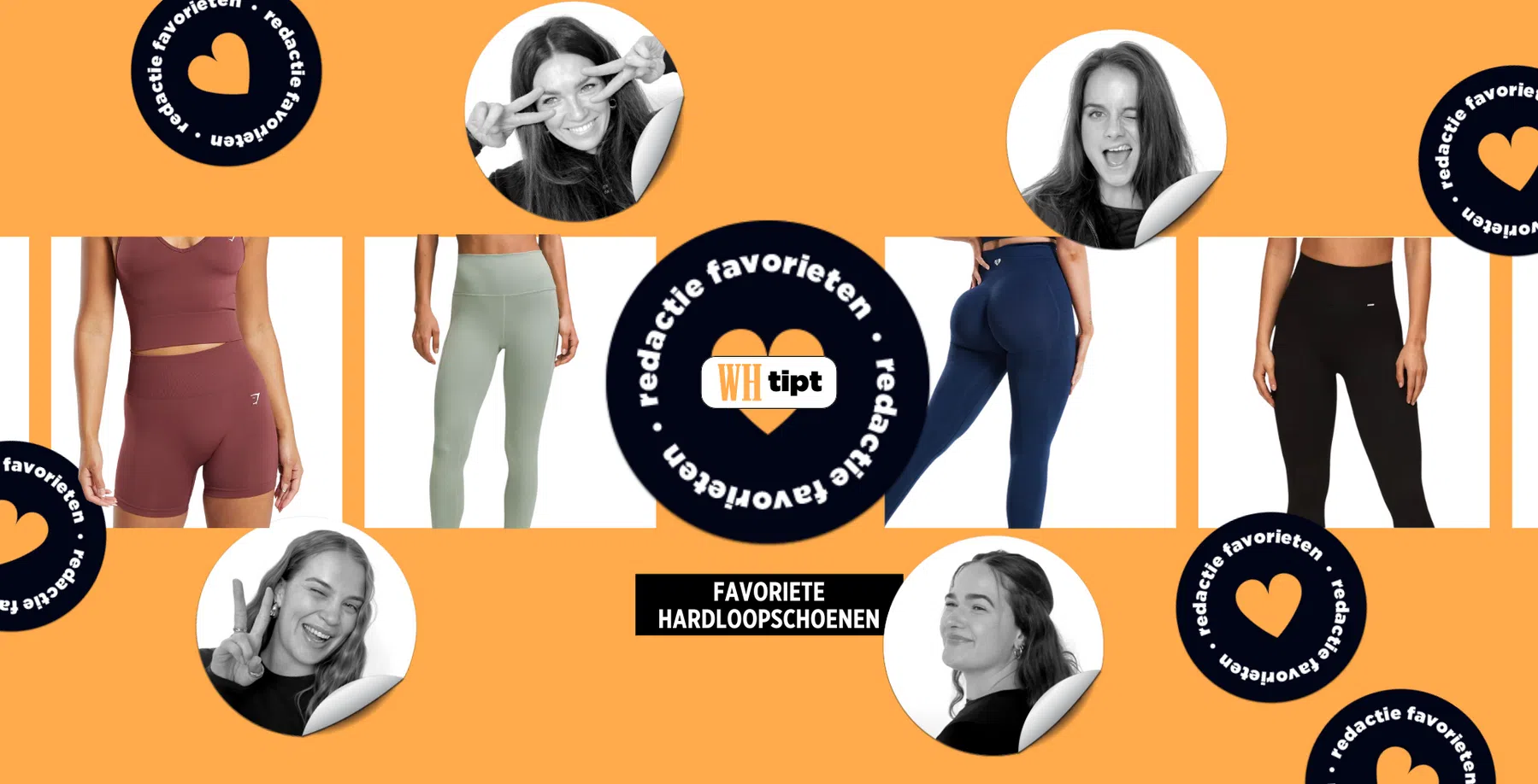 WH Tipt Header (artikel) (3).png