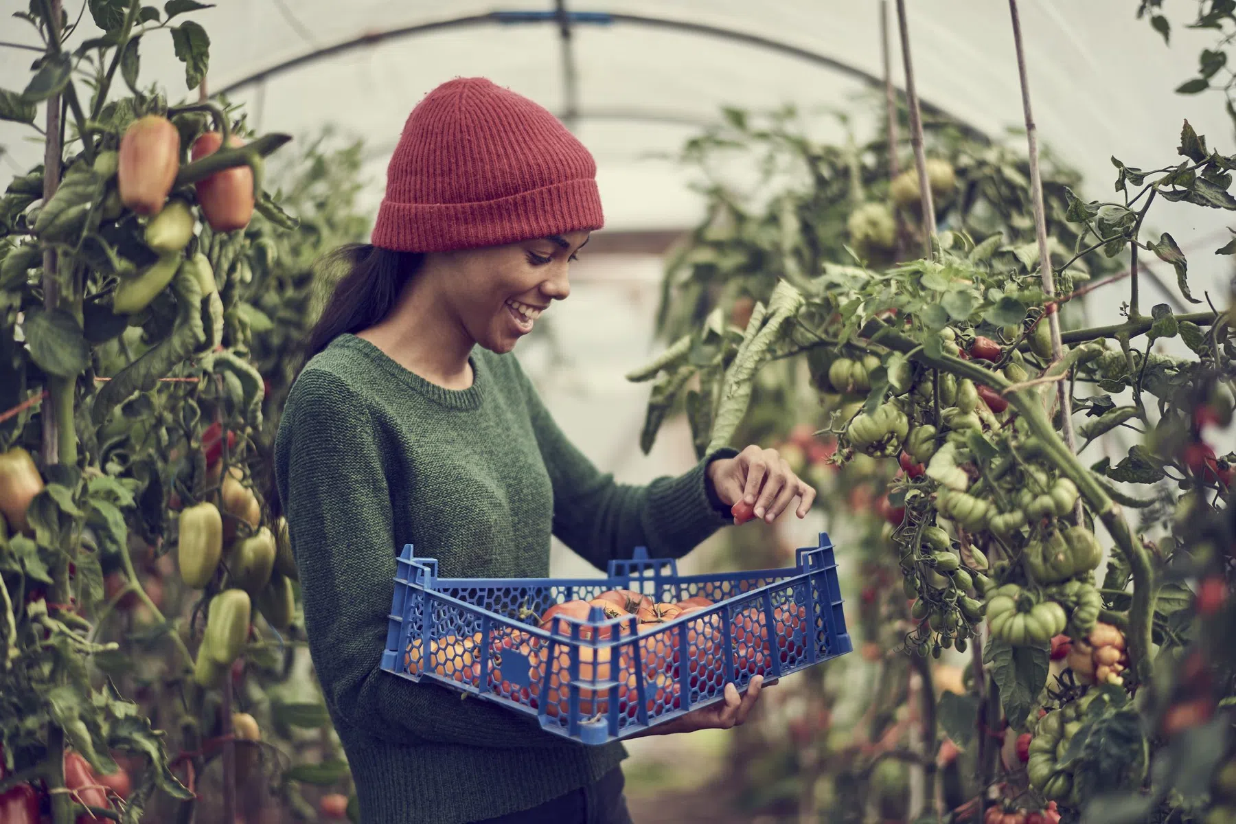 Tips voor eigen moestuin