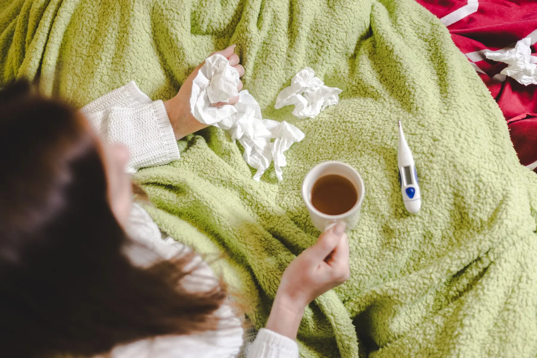 Echinacea bij griep en verkoudheid
