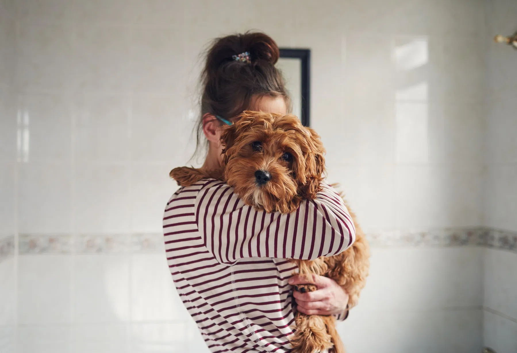 De meest geschikte honden voor gevoelige mensen