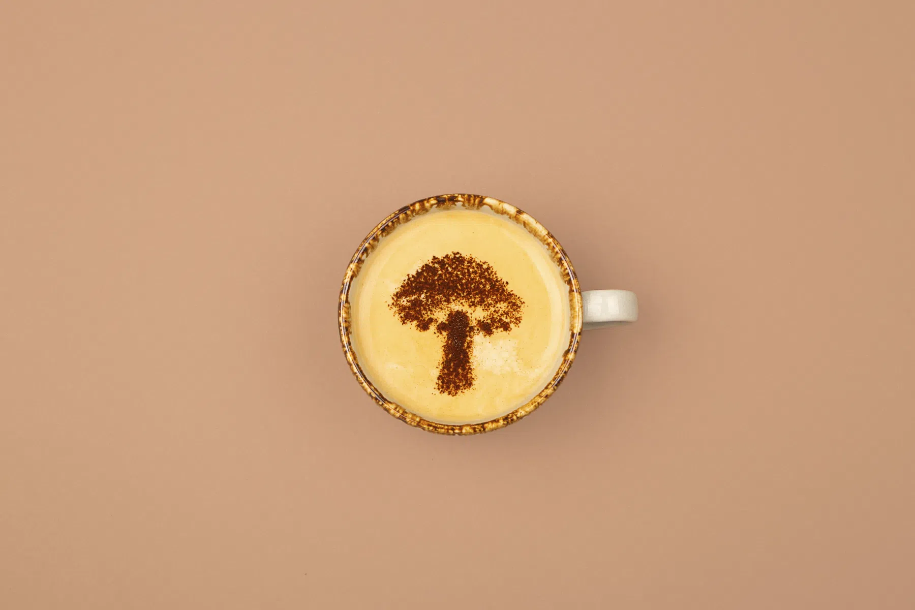 Is paddenstoelenkoffie de hype waard?