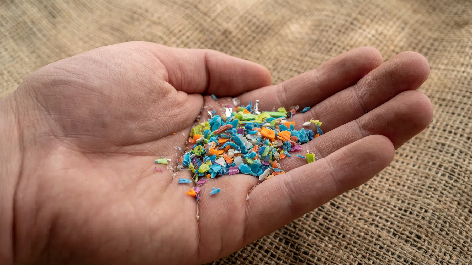 Microplastics: wat er gebeurt als die in jouw lijf terechtkomen?