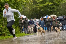 Thumbnail for article: Dafne Schippers racet tijdens de DogOlympics tegen honden