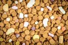 Oei: zoveel pepernoten moet je eten om een kilo aan te komen