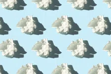 Thumbnail for article: Langer dan een week ziek? Misschien heb je last van een co-infectie