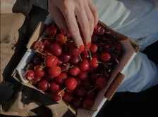 Thumbnail for article: Van appels tot kersen: welk fruit is het best voor een lage bloedsuikerspiegel?