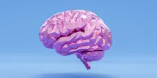 Thumbnail for article: Risico op dementie verlagen? Kijk naar je dieet, zo luidt nieuw onderzoek